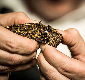 new tobacco tax In 2023, New York raised its cigarette excise tax by $1.00 to $5.35 per  pack. New York City imposes its own tax of $1.50 per pack, and that's  before you include federal