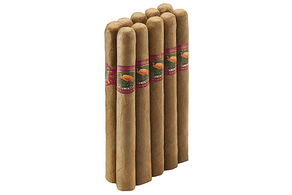 Ibis Dominicana Churchill (Churchill) 10 Zigarren Ibis Dominicana Churchill (Churchill) 10 Zigarren