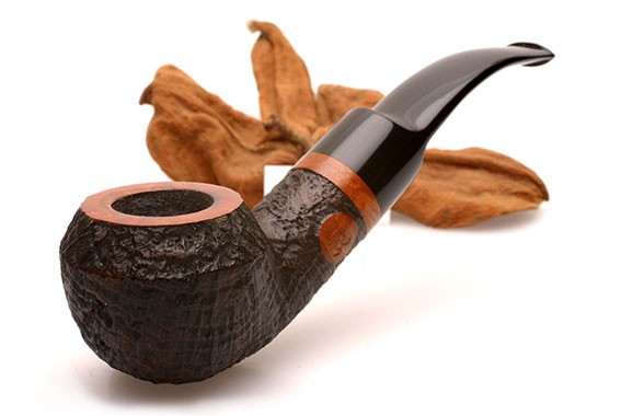 S&R Saddle Bent Rhodesian Estate oF