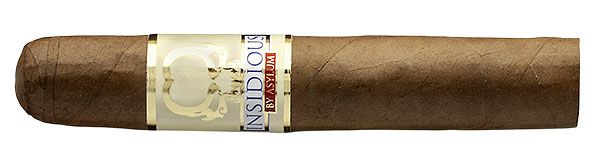 Asylum 13 Insidious Short Corona Zigarre Nahaufnahme