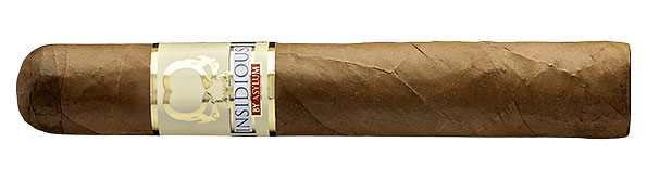 Asylum 13 Insidious Robusto Zigarre Nahaufnahme