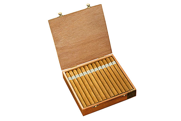 Blanco Diplomats (Corona Gorda) 25 Zigarren
