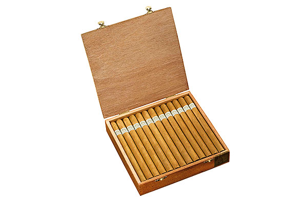 Blanco Torpedo (Torpedo) 25 Zigarren Blanco Torpedo (Torpedo) 25 Zigarren
