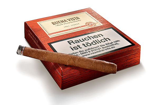 Buena Vista Dark Fired Kentucky Cigarillos 20 Zigarillos Buena Vista Dark Fired Kentucky Cigarillos 20 Zigarillos