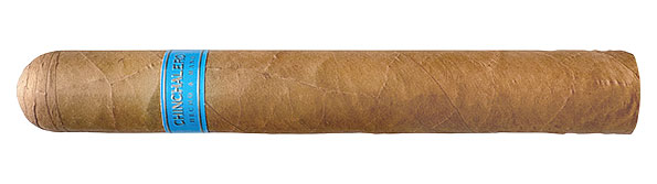 Chinchalero Classic Robusto Nahaufnahme