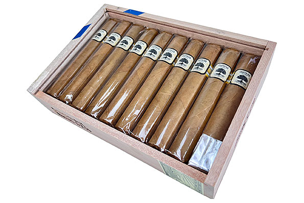 Foundation Charter Oak Connecticut Shade Grande 20 Cigars Foundation Charter Oak Connecticut Shade Grande 20 Cigars