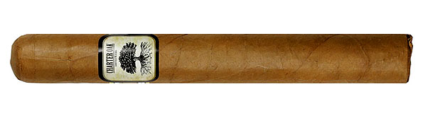 Charter Oak Shade Toro Zigarre Nahaufnahme