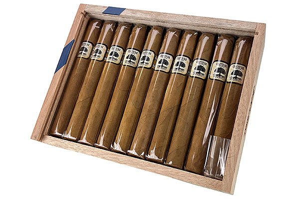 Foundation Charter Oak Connecticut Shade Toro 20 Cigars Foundation Charter Oak Connecticut Shade Toro 20 Cigars