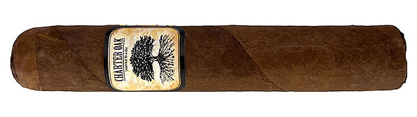 Charter Oak CT Broadleaf Rothschild Zigarre Nahaufnahme