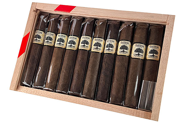 Foundation Charter Oak CT Broadleaf Rothschild 20 Zigarren