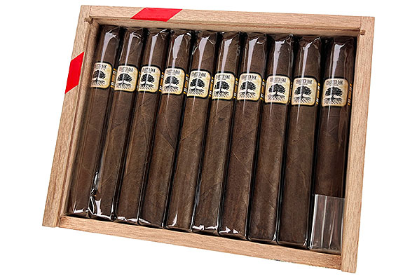 Foundation Charter Oak CT Broadleaf Toro 20 Cigars