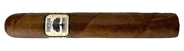 Charter Oak CT Broadleaf Grande Zigarre Nahaufnahme