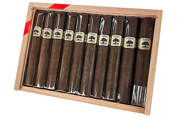 Foundation Charter Oak CT Broadleaf Grande 20 Zigarren