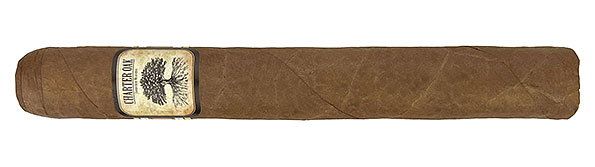 Charter Oak Original Habano Toro Zigarre Nahaufnahme