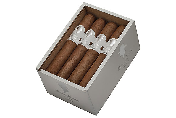 Gilbert Signature Line Robusto (Robusto) 12 Zigarren