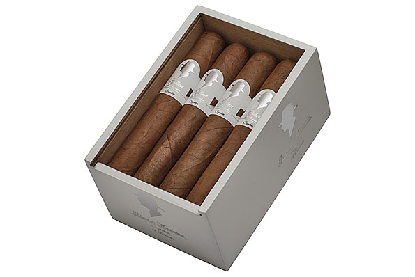 Gilbert Signature Line Robusto (Robusto) 12 Cigars