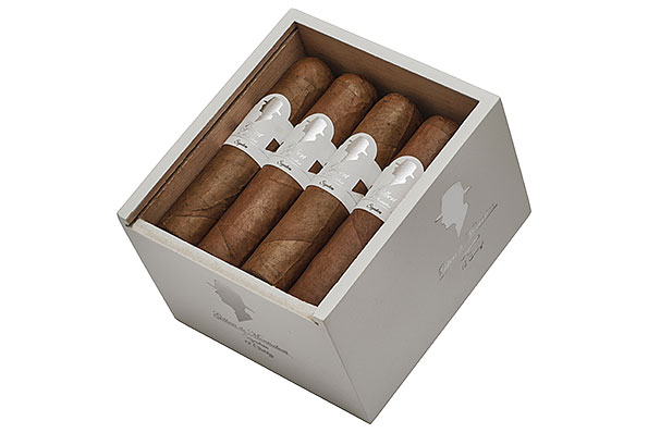 Gilbert Signature Line Chubby (Chubby) 12 Cigars