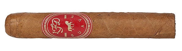 La Flor Dominicana Suave Maceo Nahaufnahme