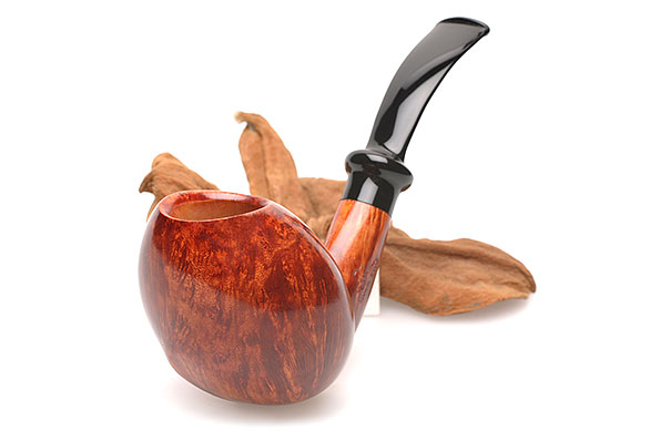 Manuel Shaabi Saddle Full Bent Egg S3 oF Manuel Shaabi Saddle Full Bent Egg S3 oF