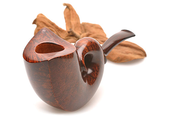 Manuel Shaabi Snail C2 oF Manuel Shaabi Snail C2 oF