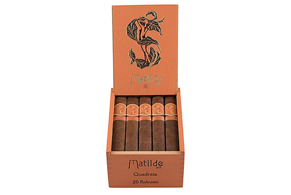Matilde Quadrata Robusto (Robusto) 20 Zigarren  Matilde Quadrata Robusto (Robusto) 20 Zigarren