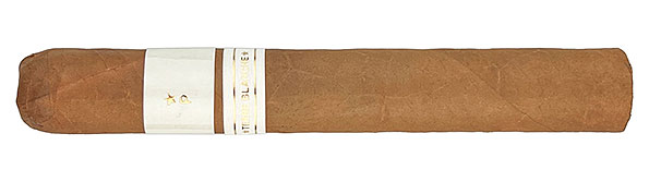 Patoro Terre Blanche Gordo Zigarre Nahaufnahme