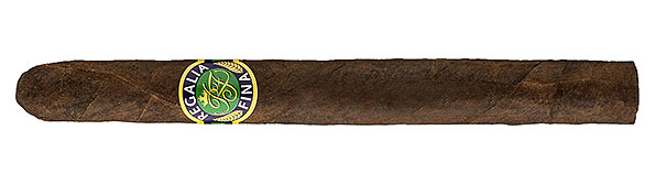 Regalia Fina S�o Paulo Panatela Brazil Zigarre - Dunkles Brazil Deckblatt