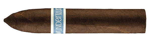 RoMa Craft Wunder|Lust Petit Belicoso Detail