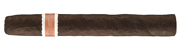 RoMa Craft Neanderthal HS Zigarre Detail