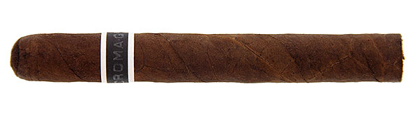 RoMa Craft CroMagnon Anthropology Nahaufnahme