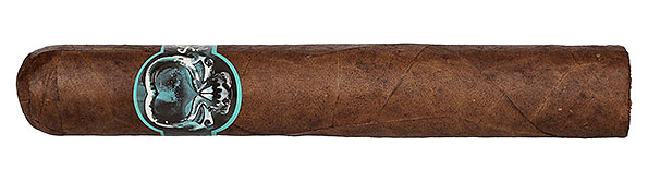 Schizo Maduro Hercule 7 x 70 cigar close-up