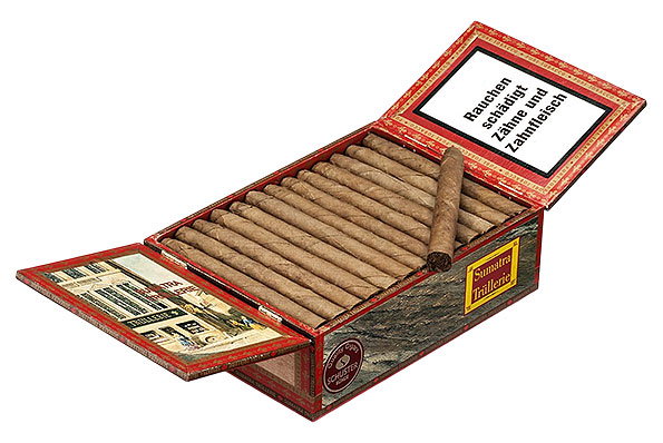 Trüllerie Sumatra Bajazzo Senorita (Senorita) 50 Zigarren Trüllerie Sumatra Bajazzo Senorita (Senorita) 50 Zigarren