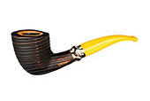 Siena Siena